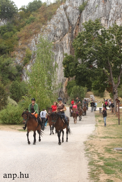 500 km hucul horse tour aggtelek national park