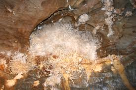 ochtinai-aragonit cave